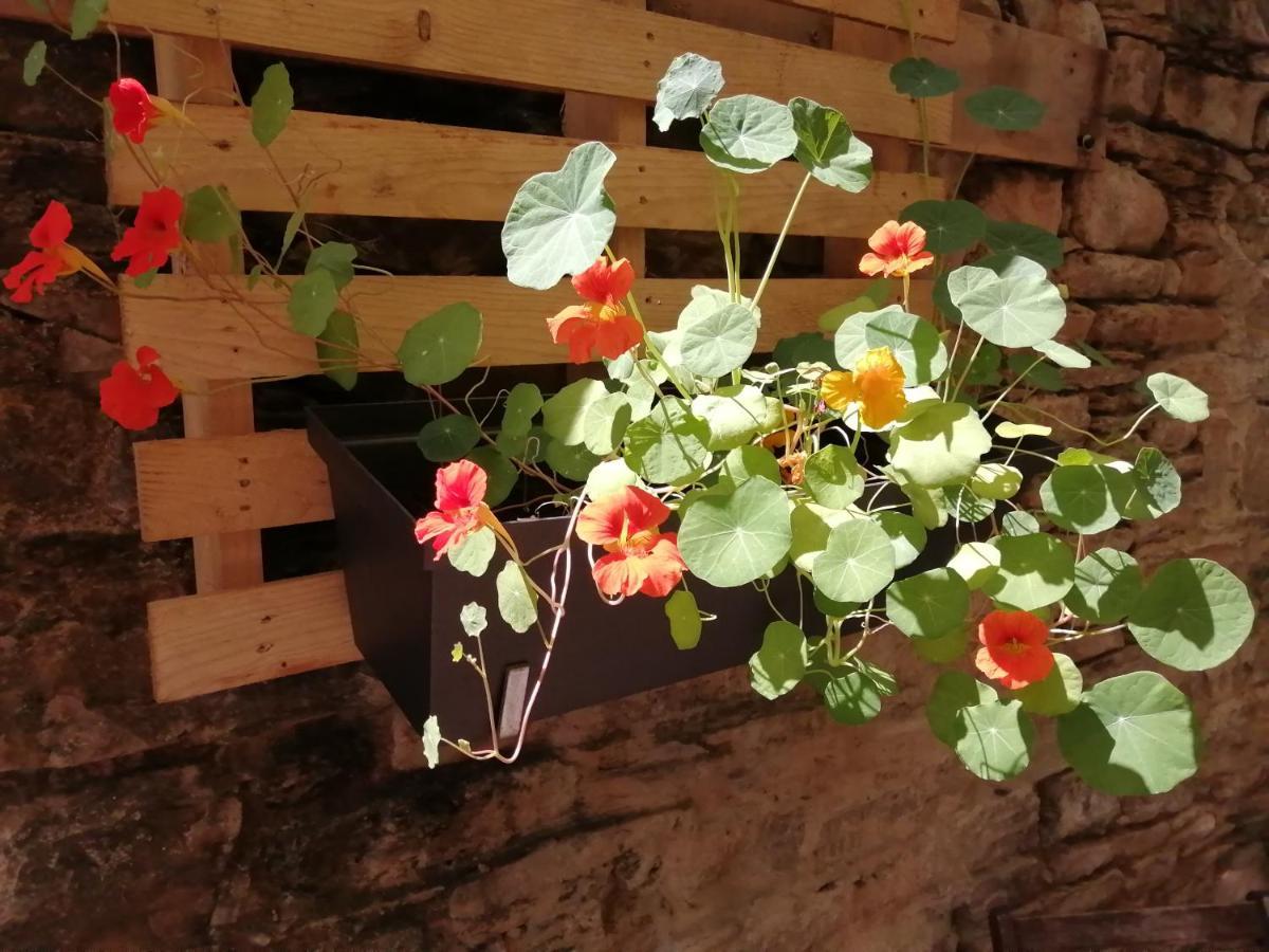 El Puente Peregrino Guest House Trabadelo Екстериор снимка